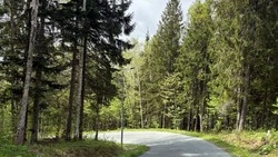 Стало известно, каким будет начало лета на Сахалине и Курилах 