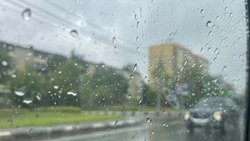 Дожди и туманы вновь испортят погоду в Сахалинской области 10 июля 