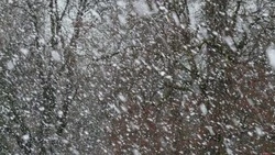 Местами очень сильный снег: погода в Сахалинской области 27 декабря 