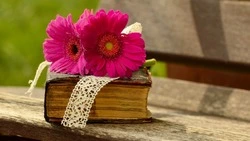 Тест для самых начитанных: сможете узнать эти 9 произведений из русской литературы? 