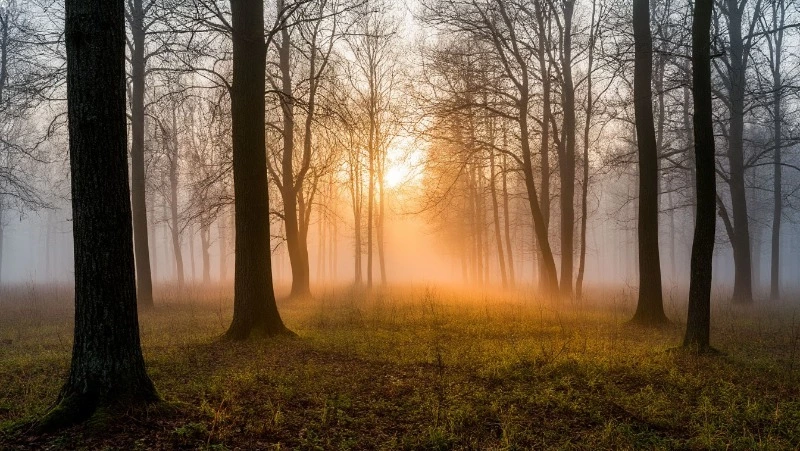 Народные приметы на 23 апреля 2025 года: что строго нельзя делать в Терентьев день 