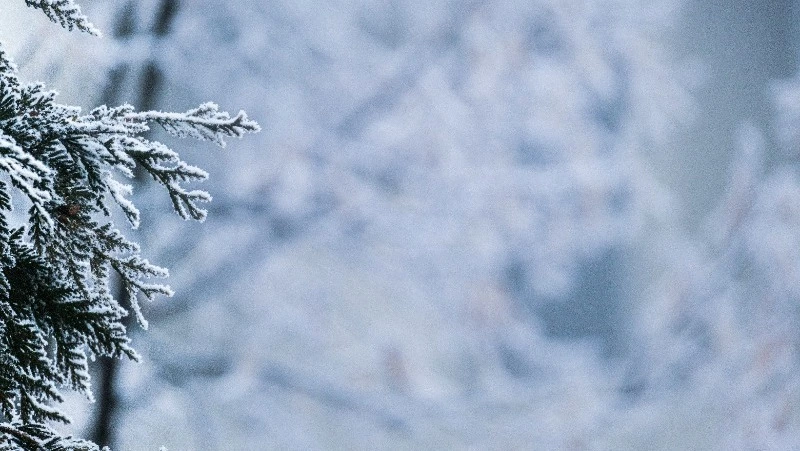 Циклон и суровые морозы: погода в Сахалинской области на предстоящую неделю 