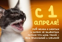 С 1 апреля: красивые картинки и открытки с Днем смеха 2024         