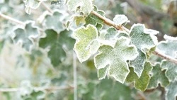 Народные приметы на 10 ноября 2024: что можно и нельзя делать в день Параскевы Пятницы