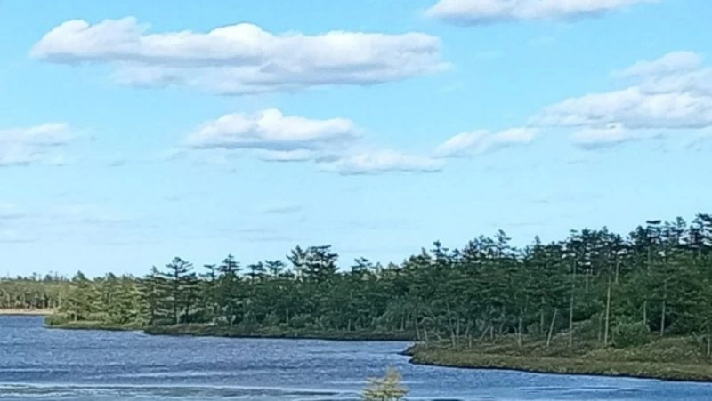 Холодный ветер и до +22 градусов: прогноз погоды в Сахалинской области на 18 сентября