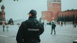 День сотрудника органов внутренних дел в России 2024: история, традиции, почему важен праздник