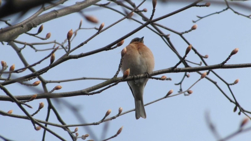 Народные приметы на 11 марта 2025 года: почему в этот день избегали красивых женщин
