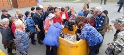 Почти сто тонн доступной рыбы продано в Долинском районе 