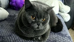 Гадание по картинке на июнь 2024 года: какие изменения вас ждут этим летом     