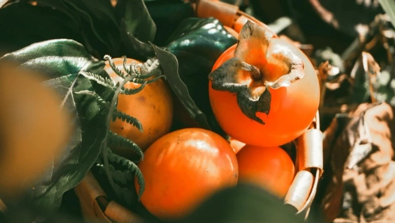 Чудо, а не ягода: ТОП-4 самых полезных свойств хурмы        