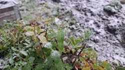 Ухудшение погоды ожидается на Сахалине и Курилах 6 ноября 