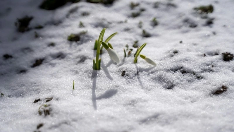 Алексей Теплый 2025: приметы, традиции, как провести день