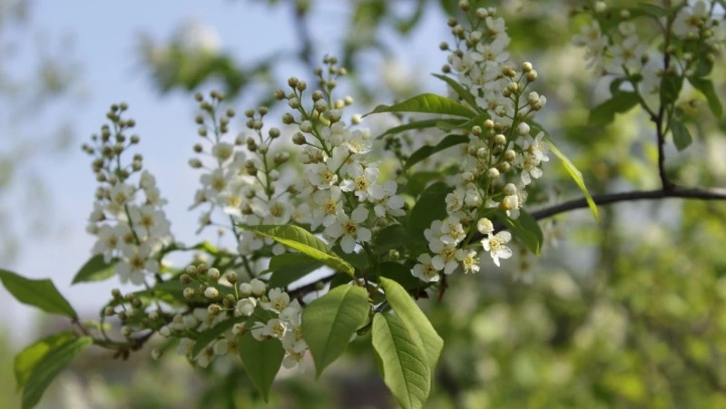 Народные приметы на 7 августа 2024: что можно и нельзя делать в этот день 