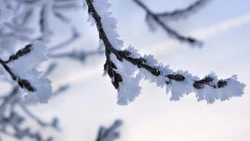 Погода на Сахалине и Курилах 20 февраля: на побережьях метель и снег повсюду  