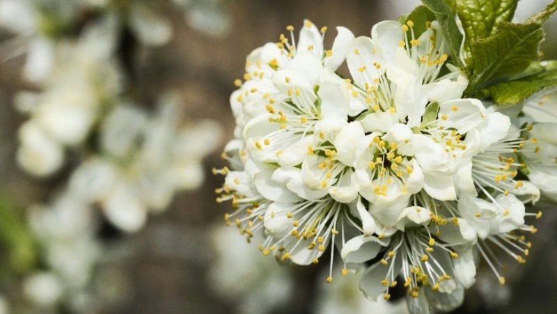 Народный календарь на июнь 2025: список праздников, приметы  