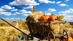 Лунный календарь для садоводов и огородников на сентябрь 2024