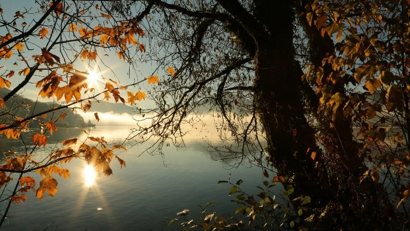 Теплая и ясная погода ожидается на Сахалине в пятницу, 4 октября