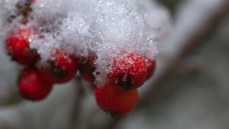 Народные приметы на 11 февраля 2025: почему женщинам нельзя работать в этот день  