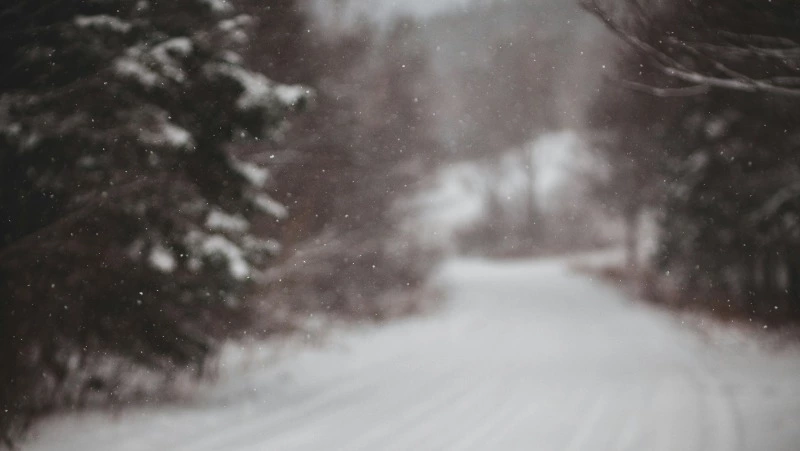 Циклон со снегом и сильным ветром обрушится на Сахалин на предстоящей неделе 