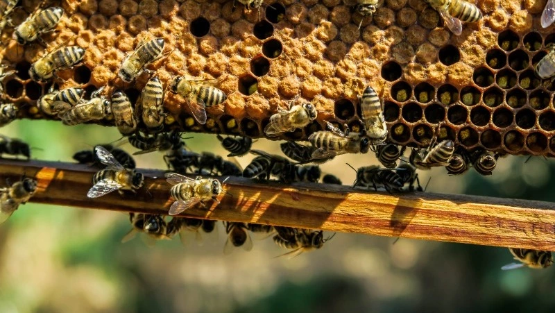 Народные приметы и поверья на 10 октября 2024 года — что нельзя делать в этот день  