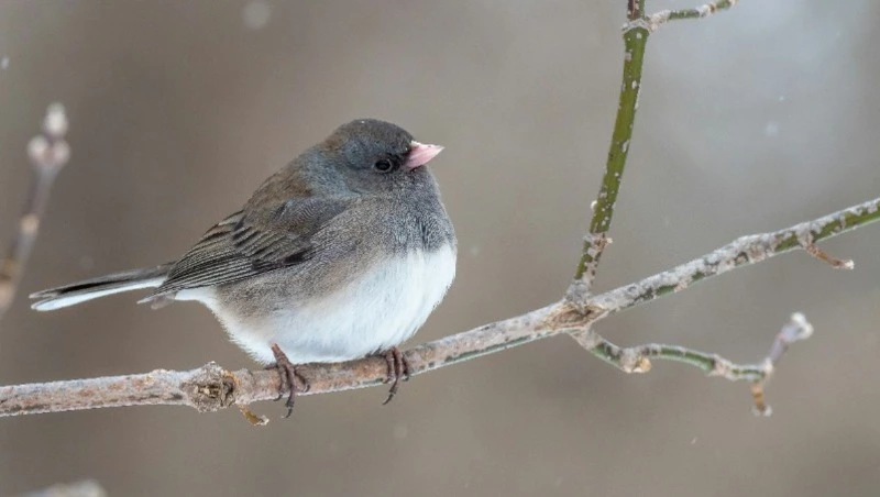 1 апреля 2024 года: какие праздники отмечают в России и мире  