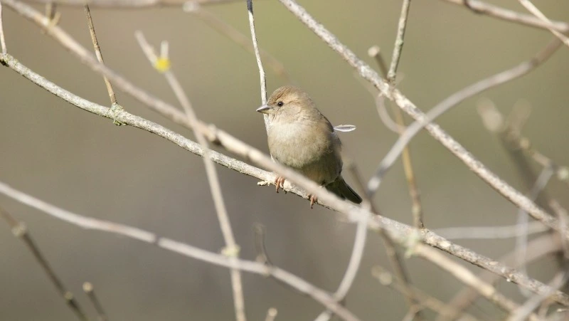 Народные приметы и поверья на 29 марта 2025 года — что нельзя делать в Саввин день 