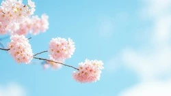 1 мая 2024: история, традиции, как отмечают в России 