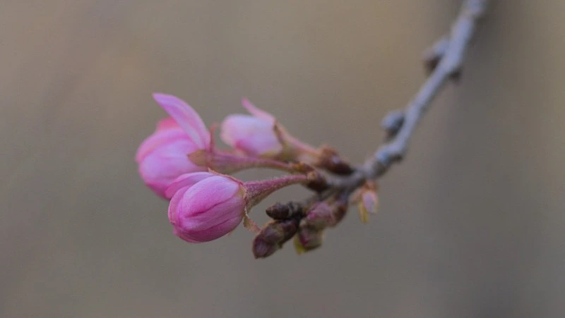 Народные приметы на 20 апреля 2024 года: что нельзя делать