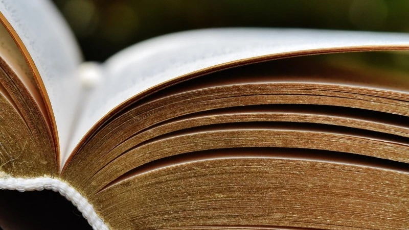 Народные приметы на 14 декабря 2024 года: почему нельзя хвалить кого-то в Наумов день 