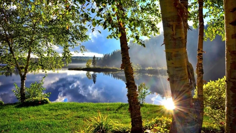 Знамения Тимофея 2025: что нельзя делать 23 июня, народные приметы 