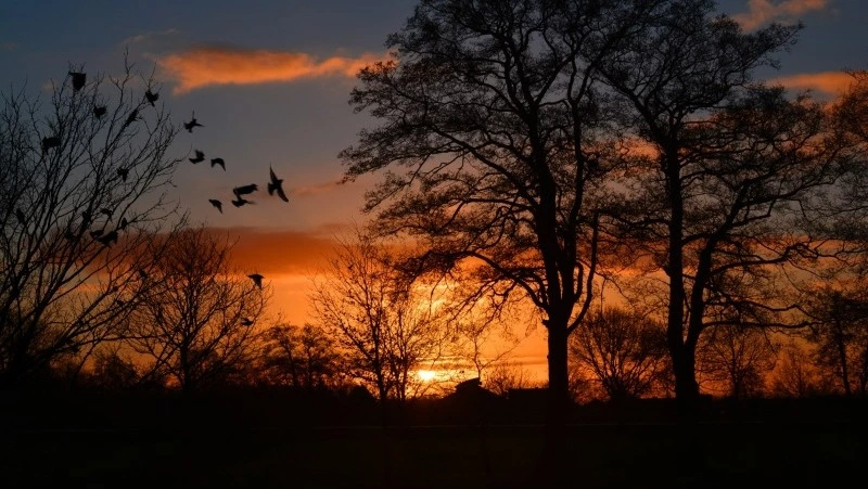 Народные приметы на 24 декабря — Никонов день: что можно и нельзя делать 