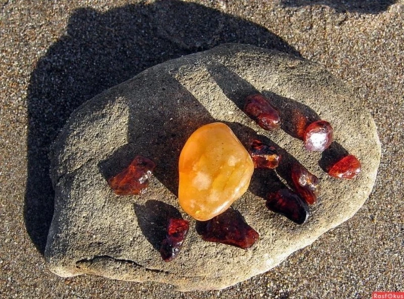 Жители Долинска теперь могут следить за реализацией проекта "Янтарный парк"