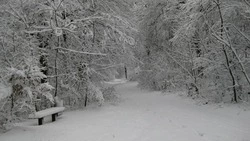 Погода на Сахалине и Курилах 30 января: очень много снега и порывистый ветер  