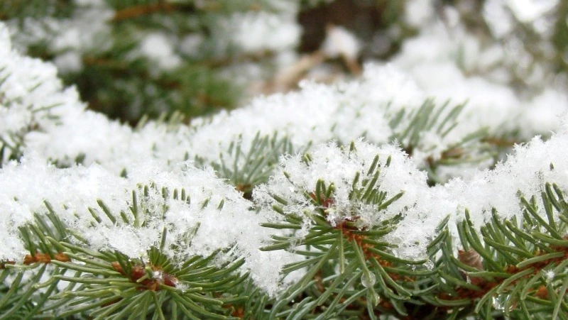 Анфиса Рукодельница: народные приметы, что нельзя делать 21 декабря 2024 года  