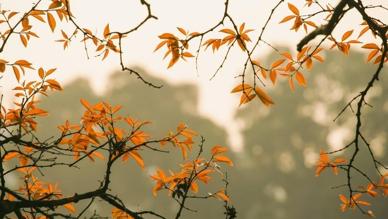 Порывистый ветер и до +23 градусов: погода в Сахалинской области 13 сентября