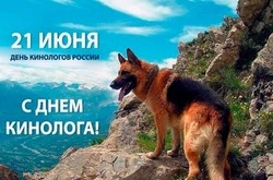 С днем кинолога 2024: красивые картинки и открытки