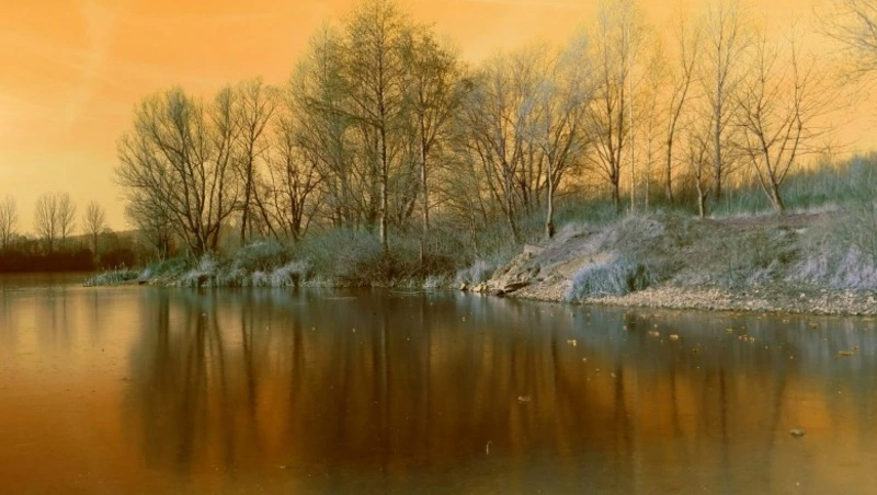 Народные приметы и поверья на 23 ноября 2024 года — что нельзя делать в день Родиона Ледолома