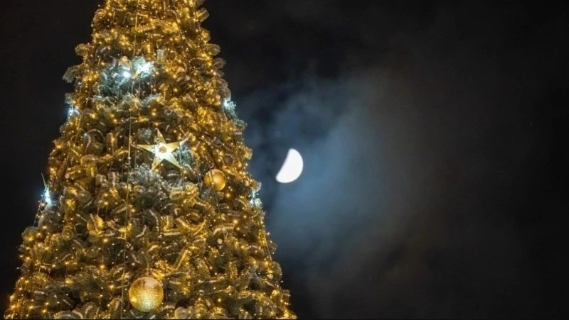 Тонны лески и тысячи шаров: топ необычных фактов о новогодних елках на улицах Южно-Сахалинска
