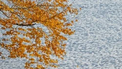 Неустойчивую погоду с осадками пообещали синоптики в Сахалинской области в субботу, 2 ноября 