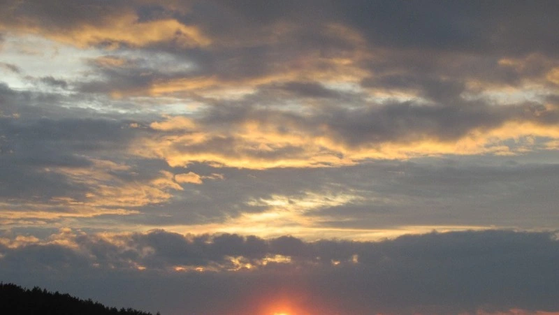 Перепады температур и дожди: погода в Сахалинской области на рабочей неделе
