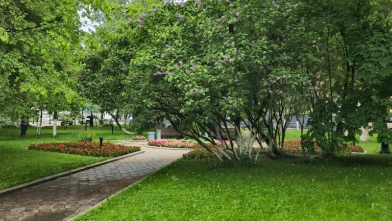 Пошла жара: потепление до +30 градусов пообещали синоптики жителям Сахалина 3 июля