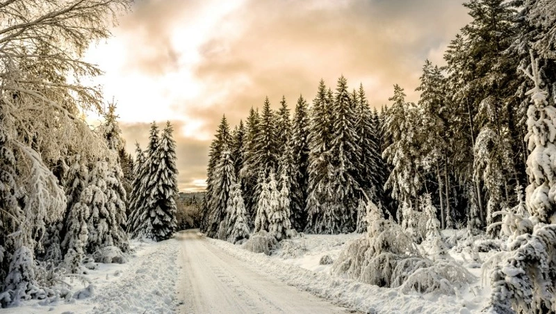 Народные приметы на 18 января 2025: традиции, что нельзя делать в Крещенский сочельник