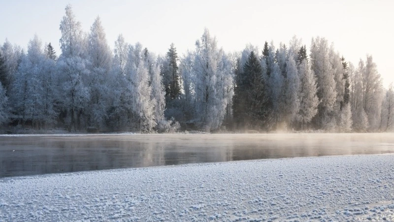 Народные приметы и поверья на 19 ноября 2024 — что нельзя делать в день Павла Ледостава