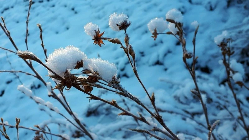Ветрено и без осадков: прогноз погоды в Сахалинской области на 11 февраля 