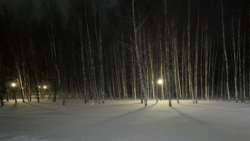 Снег и холодный ветер: прогноз погоды в Сахалинской области на 18 декабря 