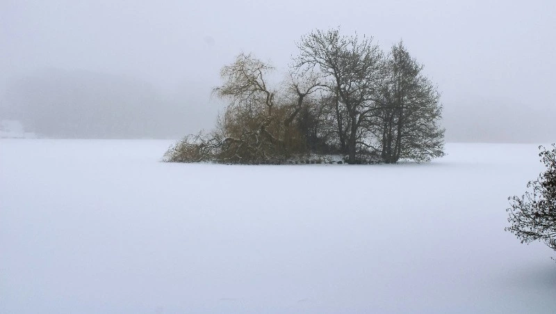 Мороз до 30 градусов, местами снег: прогноз погоды в Сахалинской области на 21 января 