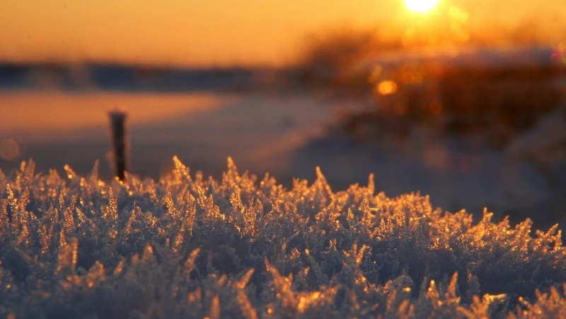 Церковный праздник 25 февраля 2025: что нельзя делать в день Алексея Рыбного  