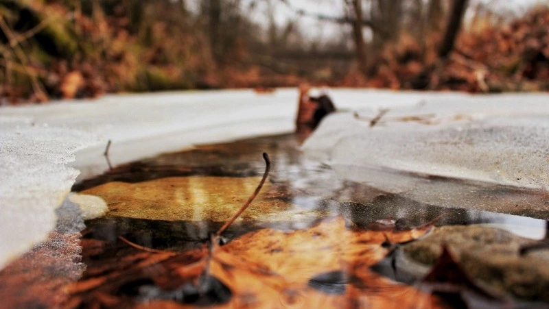 Церковный праздник 23 октября 2024: что строго нельзя делать, приметы 