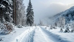 Снег, метель и порывистый ветер: непогода задержится в Сахалинской области 7 февраля 