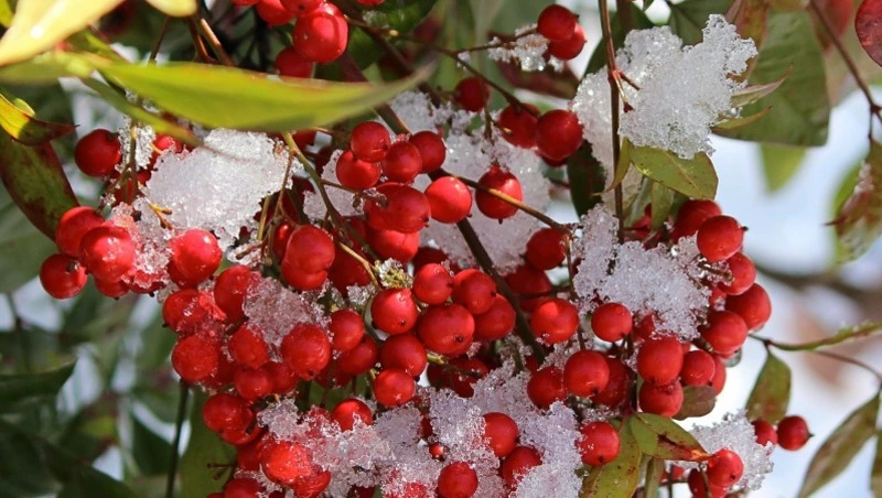 Народные приметы на 23 сентября 2024: что можно и нельзя делать в день Петра и Павла Рябинников